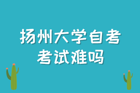 扬州大学自考考试难吗