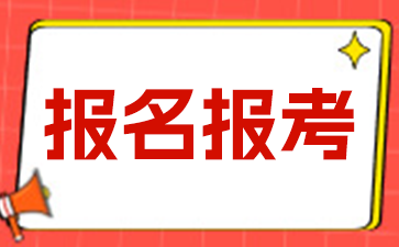 报名报考